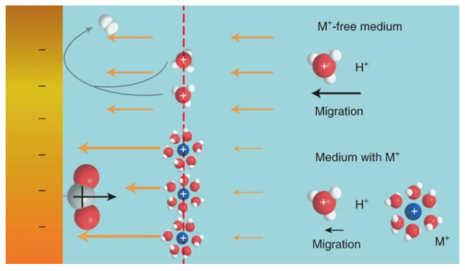 爭議連連！這一話題連發(fā)5篇Nature Catalysis！