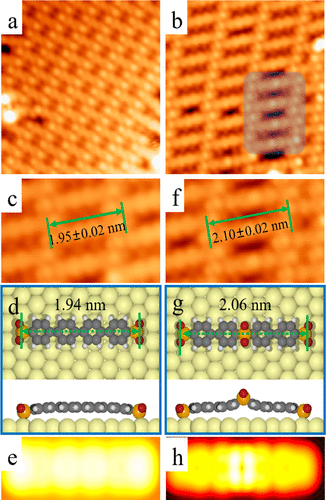 遲力峰院士，最新JACS！