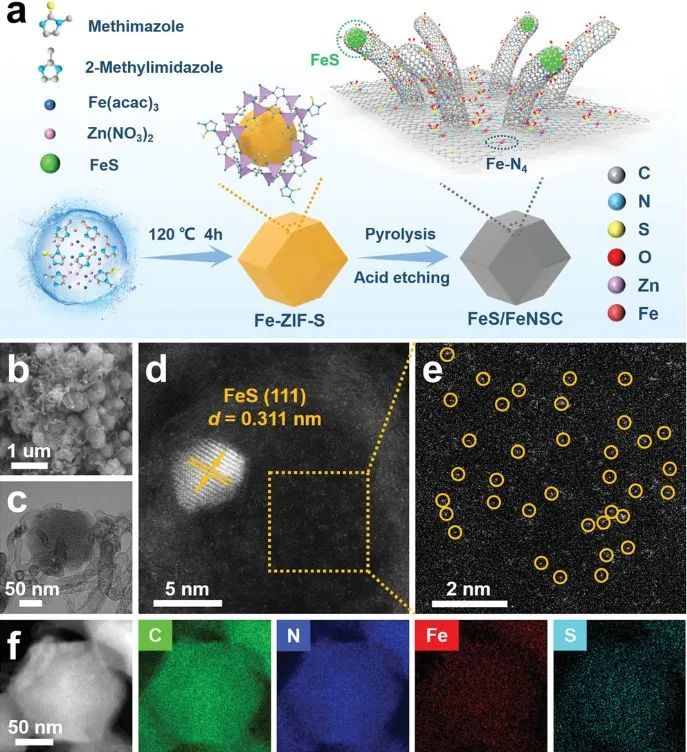 ?南昌大學(xué)AFM: 局域電子結(jié)構(gòu)導(dǎo)向的Fe–N–C基偶聯(lián)催化劑用于高效氧電還原