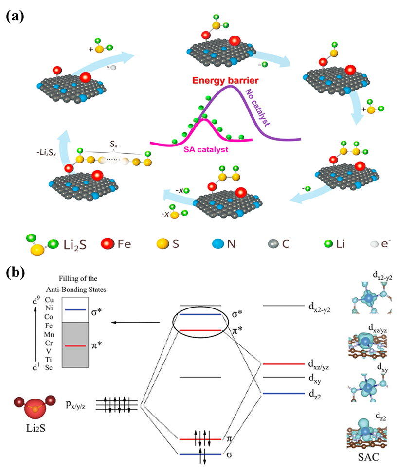深圳大學EnSM綜述：單原子催化劑在鋰硫電池中的基礎研究、應用及發(fā)展前景