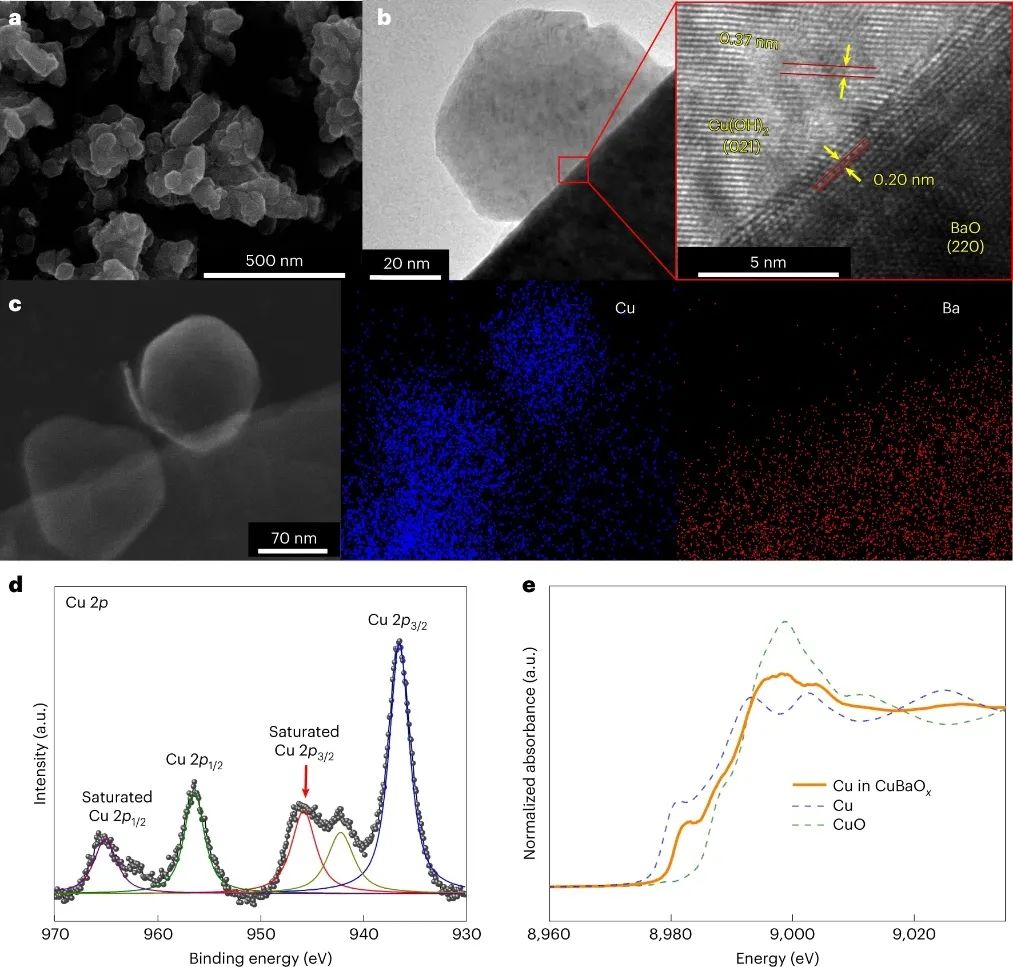 Edward H. Sargent院士&董超芳，最新Nature Catalysis！