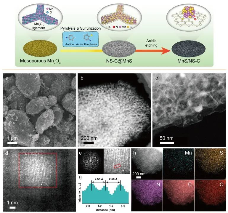 催化頂刊集錦：EES、JACS、Angew.、Nat. Commun.、AFM、ACS Nano、Small