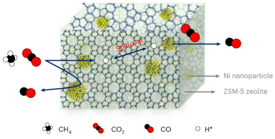 浙江大學(xué)肖豐收/王亮團(tuán)隊(duì)，再發(fā)Nature Catalysis！