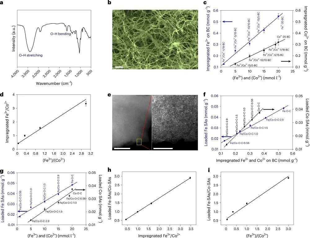 趙惠軍&張海民，最新Nature子刊！