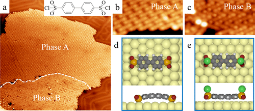 遲力峰院士，最新JACS！