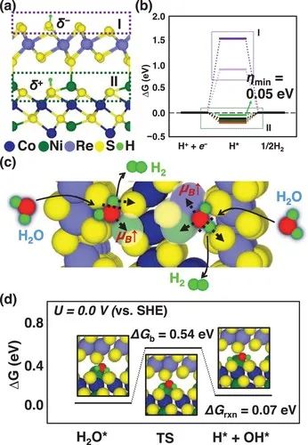 催化頂刊集錦：AFM、Angew、Nature子刊、JMCA、ACS Nano等成果