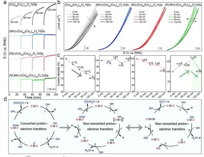 催化頂刊集錦：AFM、Angew、Nature子刊、JMCA、ACS Nano等成果