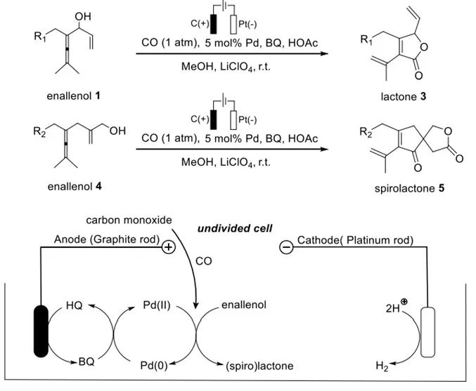 催化頂刊集錦：Nature、JACS、Angew.、CEJ、ACB等成果精選！