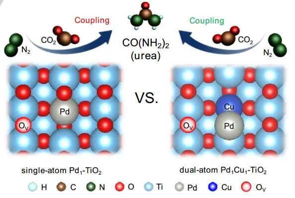 北交大Angew.：TiO2納米片中的單原子或雙原子：電催化尿素合成的最佳選擇？