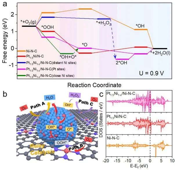 催化日?qǐng)?bào)||頂刊集錦：EES/JACS/AFM/Nano Energy/ACS Catal/Small等