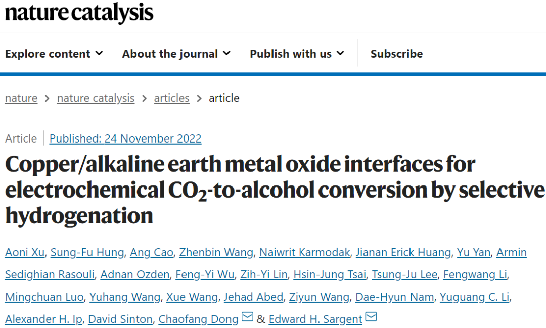 Edward H. Sargent院士&董超芳，最新Nature Catalysis！