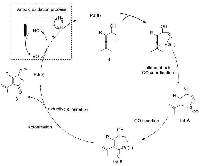 催化頂刊集錦：Nature、JACS、Angew.、CEJ、ACB等成果精選！