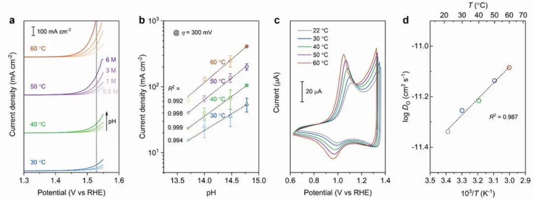 ?邵宗平Small Methods：鈣鈦礦基電催化劑在陰離子交換膜電解槽中的應用