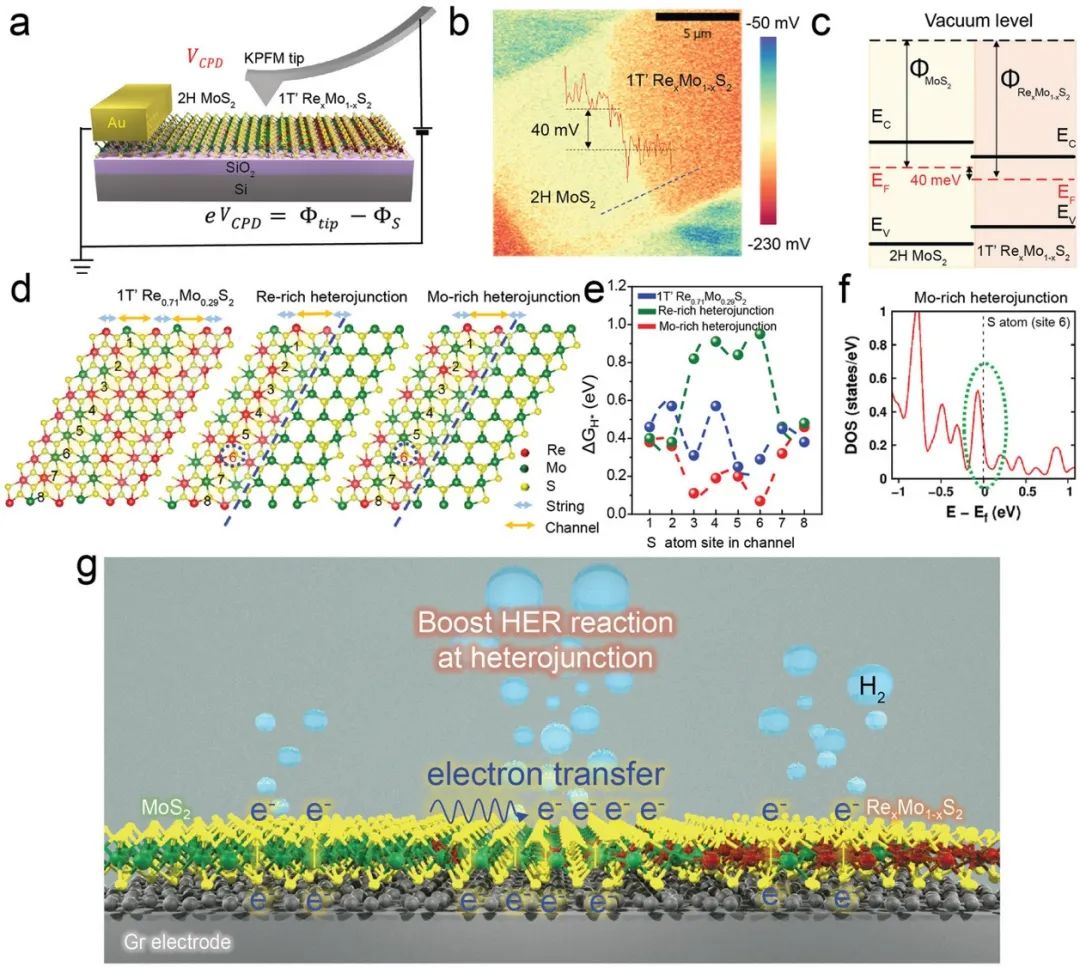 ?AFM：1T’RexMo1-xS2-2H MoS2橫向異質(zhì)結(jié)增強(qiáng)析氫反應(yīng)性能