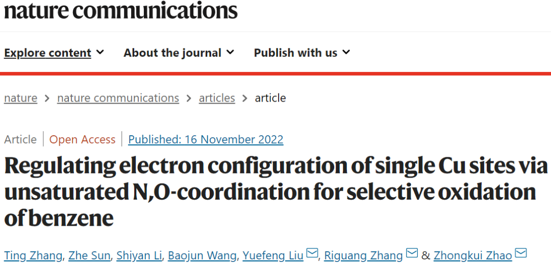 趙忠奎/章日光/劉岳峰Nature子刊：Cu-N1O2 SA/CN助力苯選擇性氧化