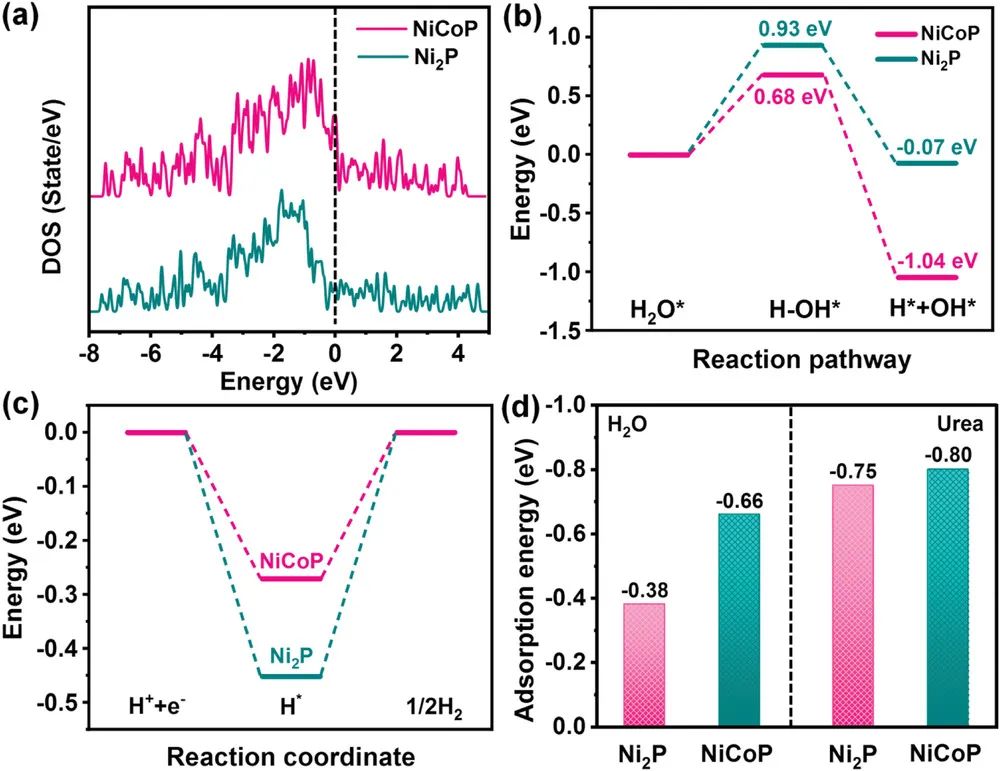 催化頂刊集錦：AFM、Angew、Nature子刊、JMCA、ACS Nano等成果