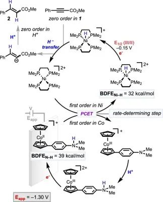 8篇催化頂刊：Nature commun.、Nat. Mater.、AM、JACS、Small等成果