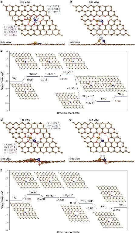 趙惠軍&張海民，最新Nature子刊！