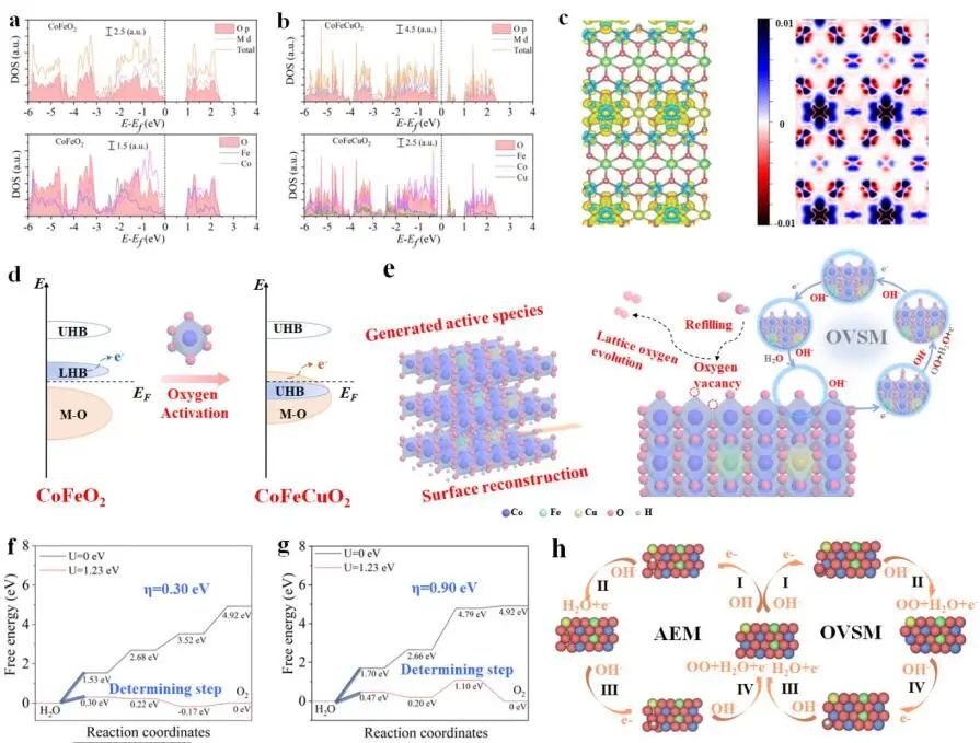 侯軍剛/高峻峰AM：測(cè)定CoFe LDH上OER重構(gòu)活性位點(diǎn)來(lái)源