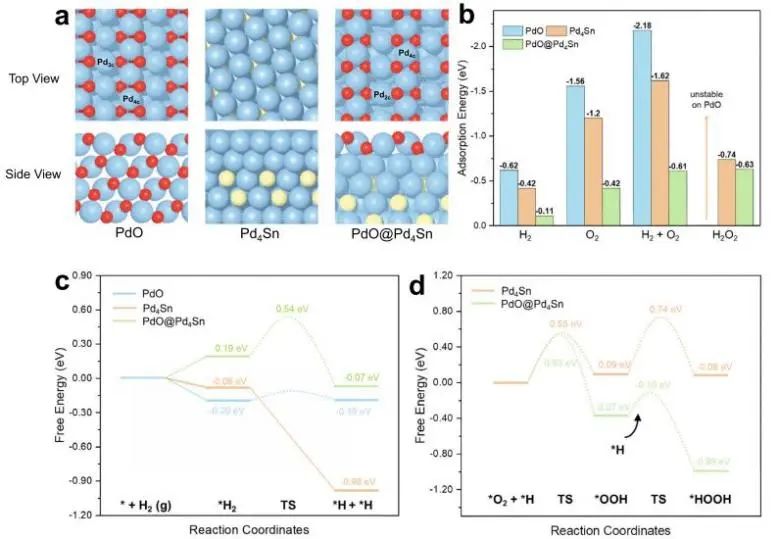 熊海峰/黃小青/林森Nature子刊：PdSn納米線上層狀Pd氧化物促進(jìn)直接H2O2合成