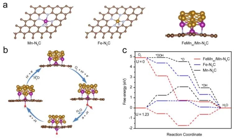 催化頂刊集錦：Angew.、JACS、EES、AM、AFM、Small等