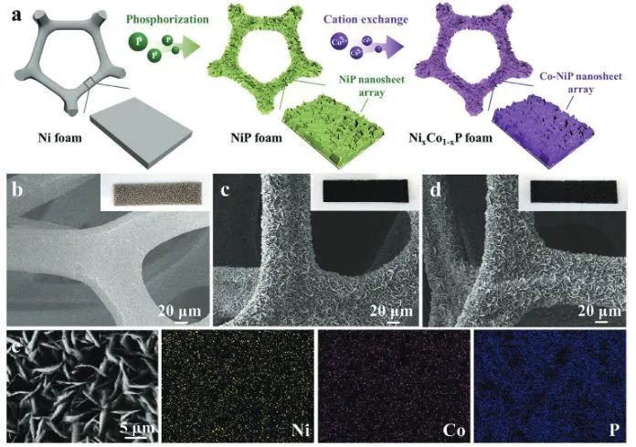 催化日?qǐng)?bào)||頂刊集錦：EES/JACS/AFM/Nano Energy/ACS Catal/Small等