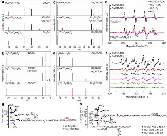 催化頂刊集錦：AFM、Angew、Nature子刊、JMCA、ACS Nano等成果