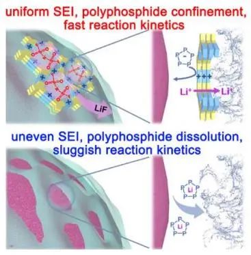 ?天大孫潔AM：新型局部電場(chǎng)策略促進(jìn)磷負(fù)極的動(dòng)力學(xué)和界面穩(wěn)定性