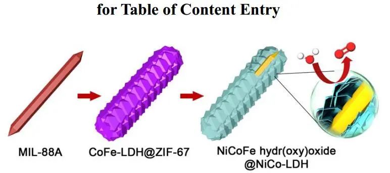于樂&樓雄文Angew.：NiCoFe-HO@NiCoLDH YSMRs助力OER