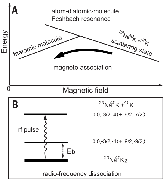 發(fā)science，創(chuàng)里程碑！潘建偉團(tuán)隊(duì)第25篇Nature及Science！