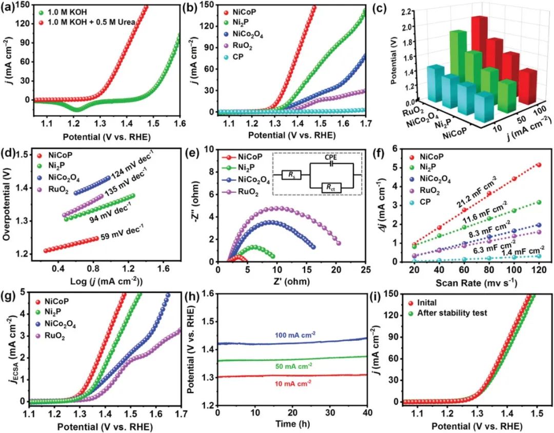 催化頂刊集錦：AFM、Angew、Nature子刊、JMCA、ACS Nano等成果