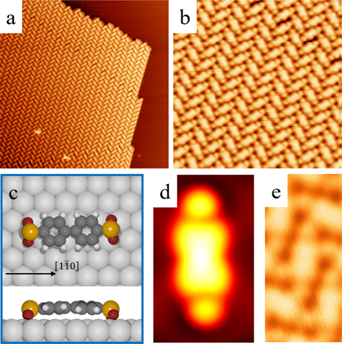 遲力峰院士，最新JACS！