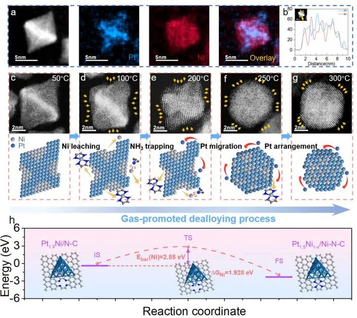 催化日?qǐng)?bào)||頂刊集錦：EES/JACS/AFM/Nano Energy/ACS Catal/Small等