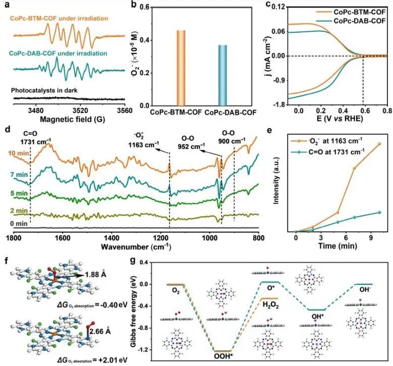 催化頂刊集錦：EES、JACS、Angew.、Nat. Commun.、AFM、ACS Nano、Small