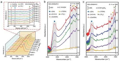 催化頂刊集錦：AFM、Angew、Nature子刊、JMCA、ACS Nano等成果