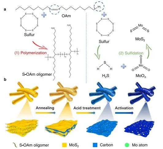 ?北科JACS：配位環(huán)境不可忽視！S、O協(xié)同促進Mo位點催化ORR和OER