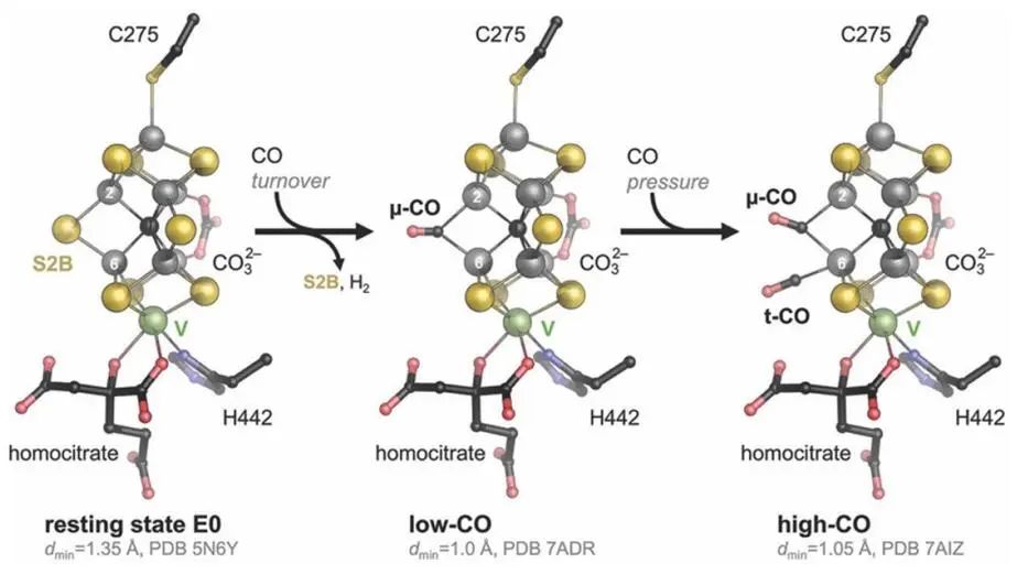 53位專家學(xué)者！共同闡述：2022年低溫電化學(xué)CO2還原路線圖！（下）