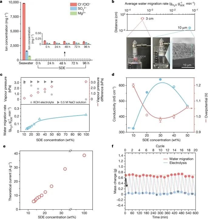 深圳大學(xué)，最新Nature！