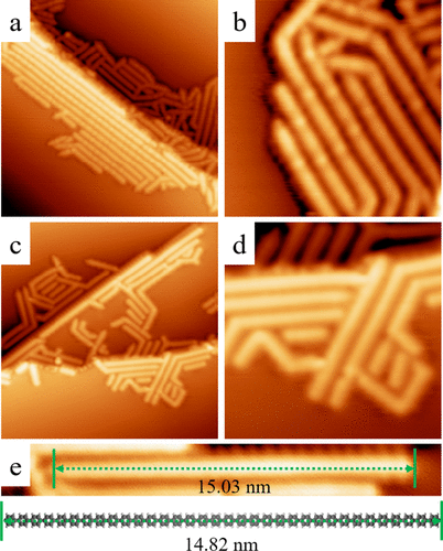 遲力峰院士，最新JACS！