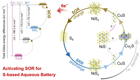 復(fù)旦大學(xué)趙東元/晁棟梁NSR：介晶硫化鎳媒介的高效水系SOR反應(yīng)