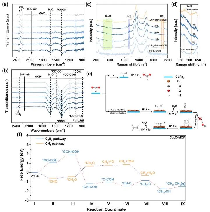 催化日?qǐng)?bào)||頂刊集錦：EES/JACS/AFM/Nano Energy/ACS Catal/Small等