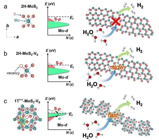 催化頂刊集錦：Nature子刊、AM、AEM、ACS Catalysis、Nano Energy等成果