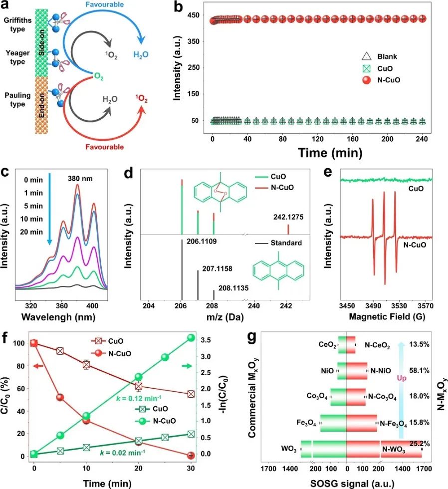 催化頂刊集錦：Angew.、Nature子刊、AFM、Small、Nano Res.等成果