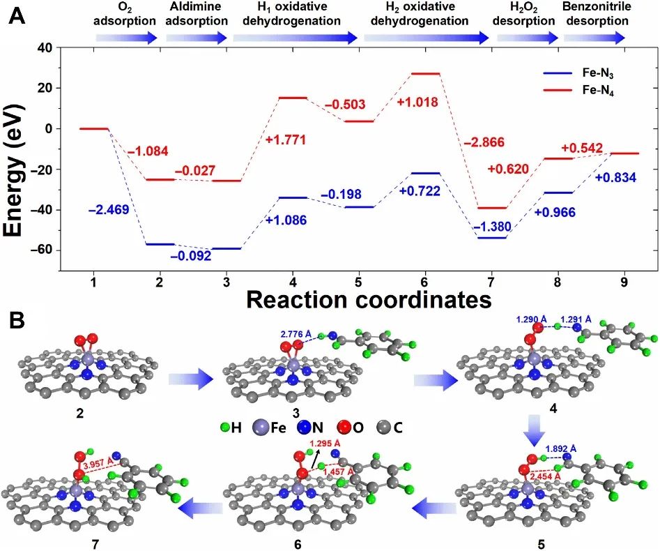 張澤會&戴文Science子刊：酶模擬單Fe-N3原子催化劑助力氧化合成腈