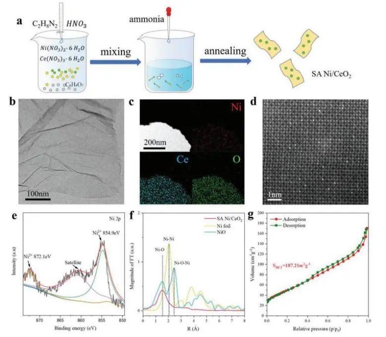 催化頂刊集錦：Nature子刊、AM、AEM、ACS Catalysis、Nano Energy等成果