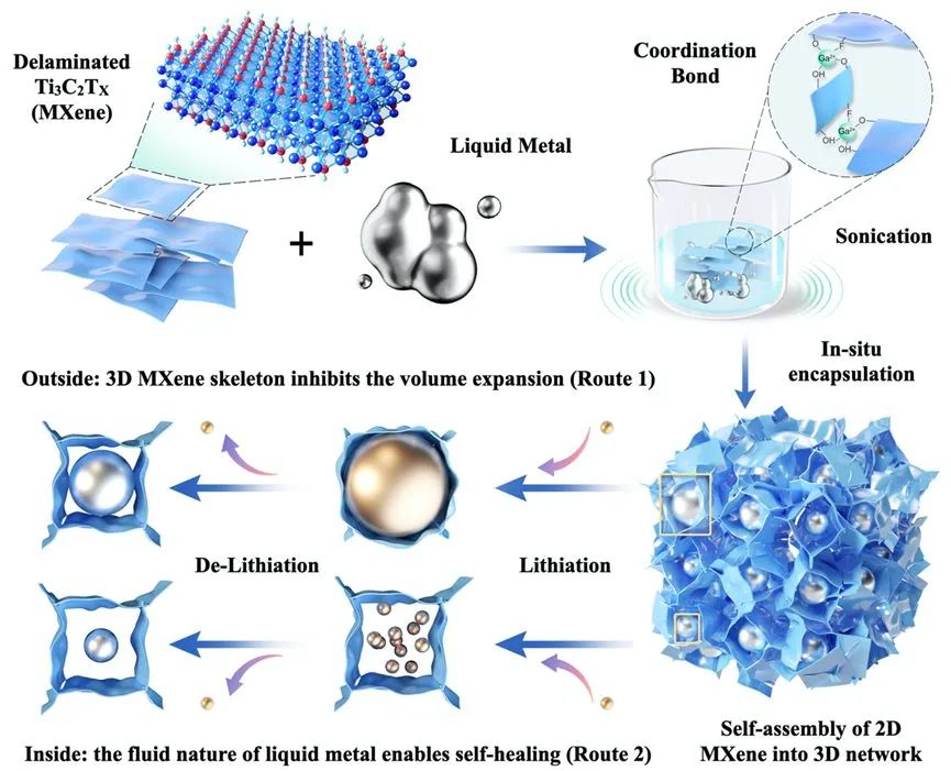 孫正明&章煒&張騰飛EES：液態(tài)金屬與MXene結(jié)合的一體化自愈合負(fù)極！
