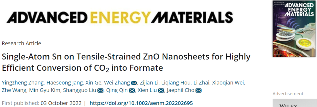 ?三單位聯(lián)合AEM：Sn SA/ZnO高效轉(zhuǎn)化CO2為甲酸鹽