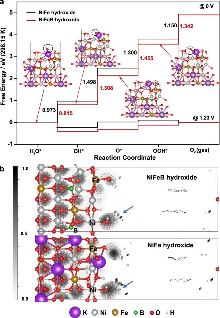 高傳博&程濤Nature子刊：NiFeB氫氧化物納米片實現(xiàn)高效OER