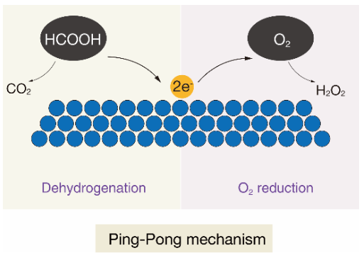 ?應(yīng)化所董紹俊Angew：Pt-Au合金催化甲酸有氧氧化用于H2O2合成