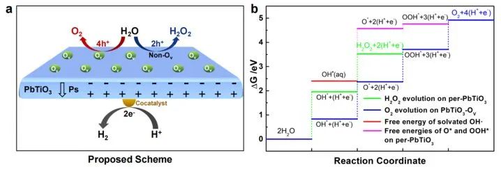 ?金屬所劉崗JACS：氧空位加上鐵電極化，促進PbTiO3光催化全水分解